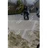 2025-03-15_14-16-07_MAI_9947_ps